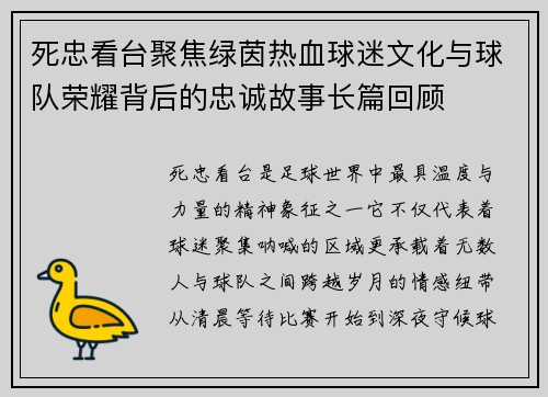 死忠看台聚焦绿茵热血球迷文化与球队荣耀背后的忠诚故事长篇回顾